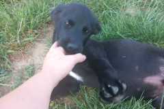IMG-20250611-WA0064