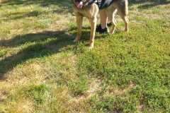 IMG-20250824-WA0050
