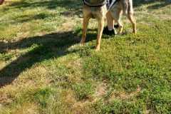IMG-20250824-WA0051