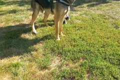 IMG-20250824-WA0052