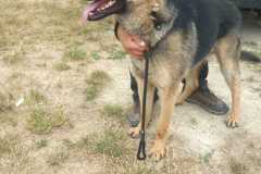 IMG-20250824-WA0057