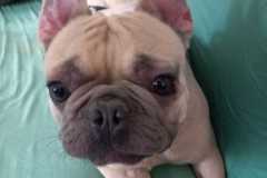 IMG-20250423-WA0032