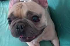 IMG-20250423-WA0033