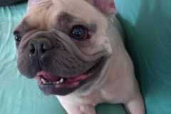 IMG-20250423-WA0034