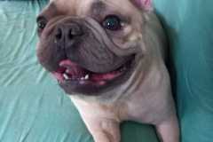IMG-20250423-WA0035
