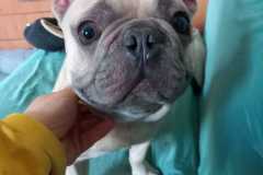 IMG-20250423-WA0036
