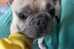 IMG-20250423-WA0037