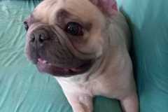 IMG-20250423-WA0038