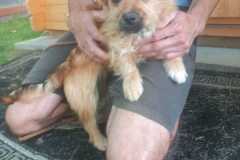 IMG-20250611-WA0023