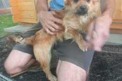 IMG-20250611-WA0025