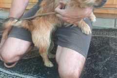IMG-20250611-WA0026