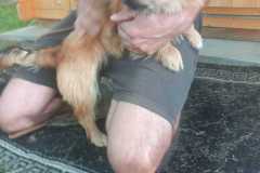 IMG-20250611-WA0027