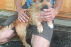 IMG-20250611-WA0028