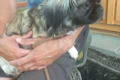 IMG-20250611-WA0044