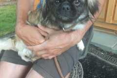 IMG-20250611-WA0045