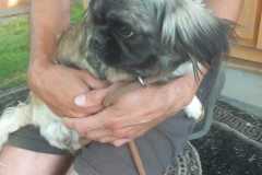 IMG-20250611-WA0046