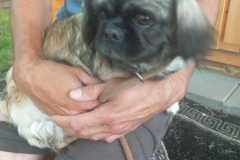 IMG-20250611-WA0047