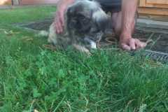 IMG-20250611-WA0048