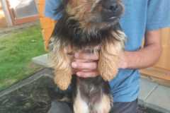 IMG-20250611-WA0066