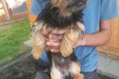 IMG-20250611-WA0067