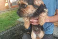 IMG-20250611-WA0068