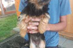 IMG-20250611-WA0069