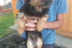 IMG-20250611-WA0070