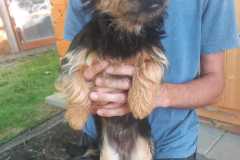 IMG-20250611-WA0071
