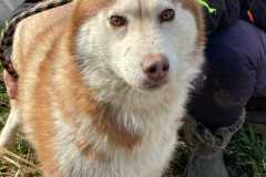 IMG-20250524-WA0014