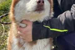 IMG-20250524-WA0015