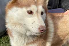IMG-20250524-WA0016