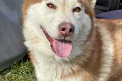IMG-20250524-WA0017