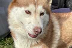IMG-20250524-WA0018