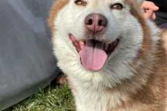 IMG-20250524-WA0019