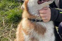 IMG-20250524-WA0020
