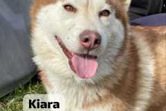 IMG-20250524-WA0021