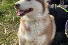 IMG-20250524-WA0022