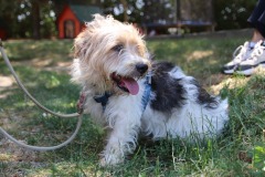 IMG-20240801-WA0030
