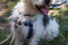 IMG-20240801-WA0034