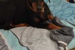 IMG-20250428-WA0010