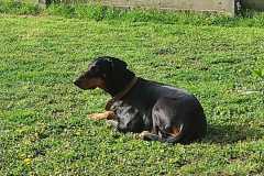 IMG-20250428-WA0012