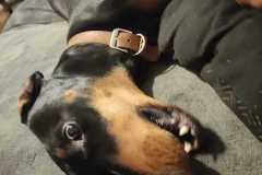 IMG-20250428-WA0014