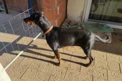 IMG-20250428-WA0015