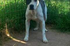 IMG-20250504-WA0050