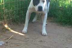 IMG-20250504-WA0051