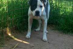 IMG-20250504-WA0053