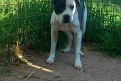 IMG-20250504-WA0054
