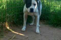 IMG-20250504-WA0056