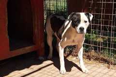IMG-20250809-WA0087