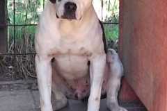 IMG-20250809-WA0088
